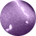 Paint Colour