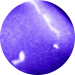 Paint Colour