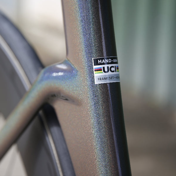 Handsling TR2evoP track pursuit bike with Miche Pistard Air chainset